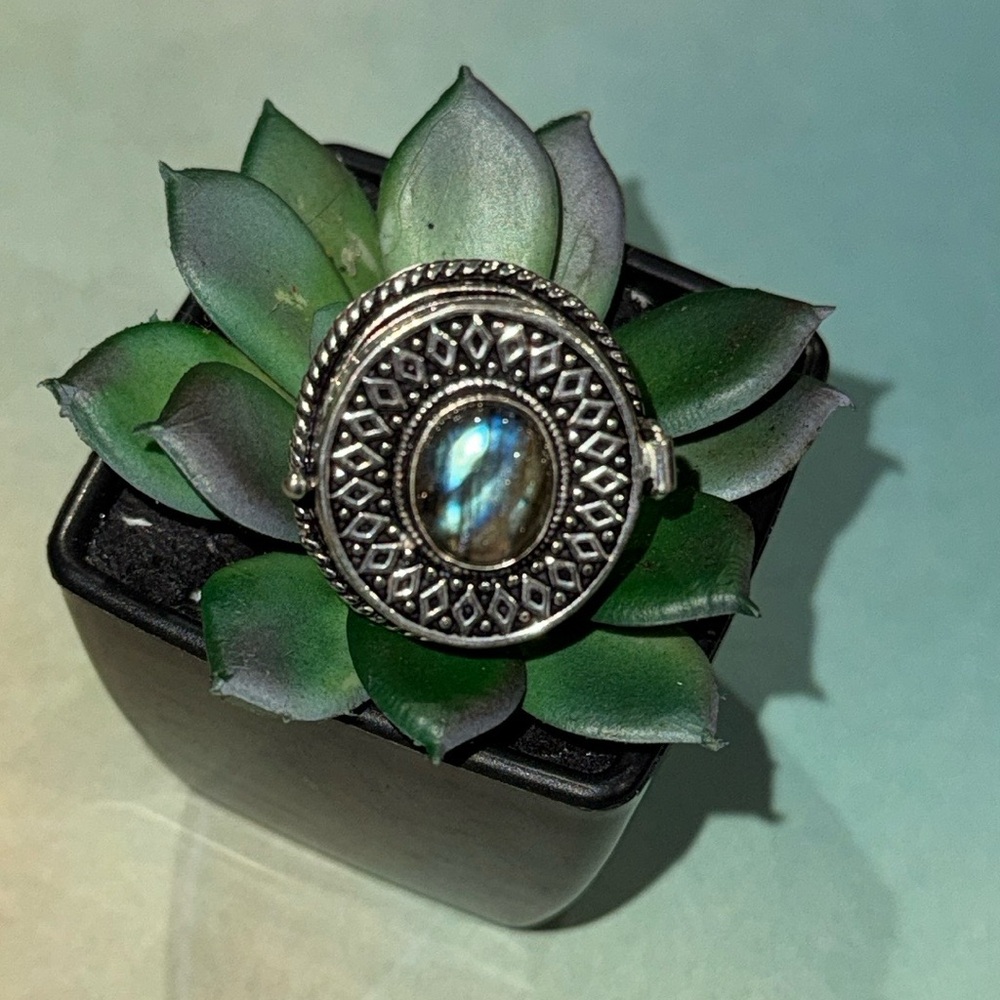 Fiery Labradorite Poison Ring - image 1